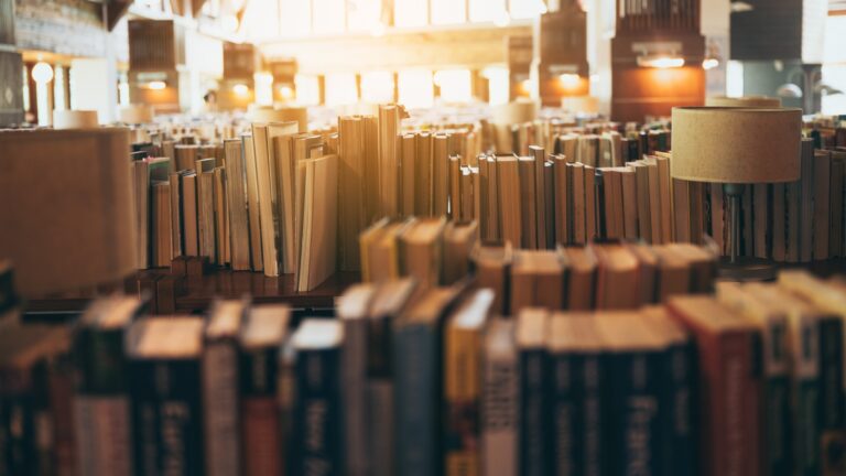 Bookshelves in public libraries, Conceptual of education